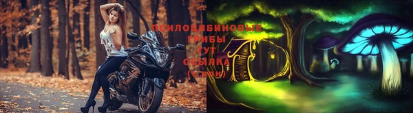 спиды Беломорск