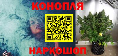 сатива Апшеронск