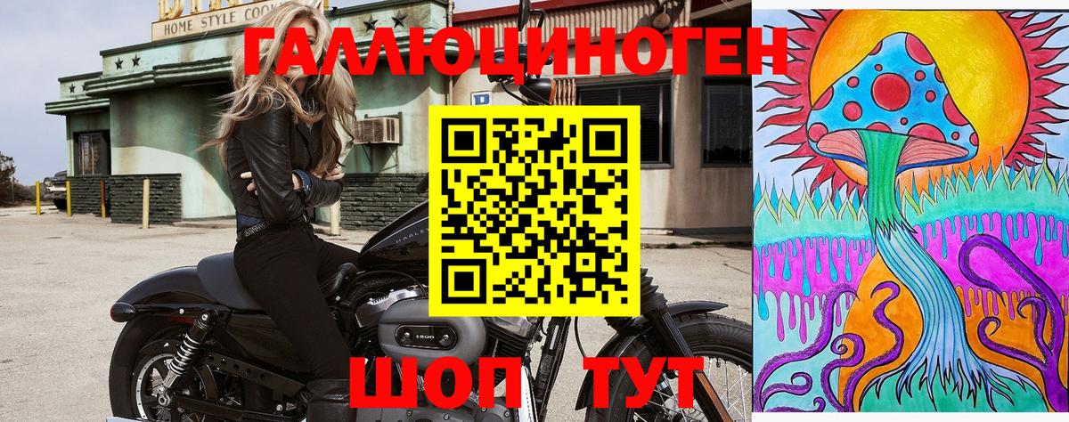 Богданович  Галлюциногенные грибы Magic Shrooms  Вход с VPN 