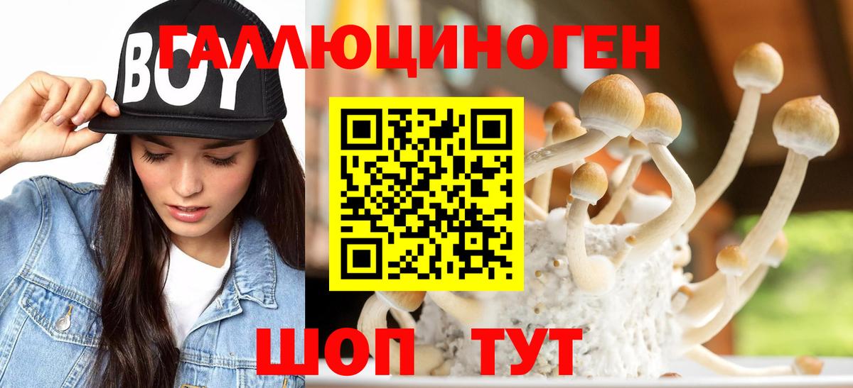 Псилоцибиновые грибы мицелий Богданович
